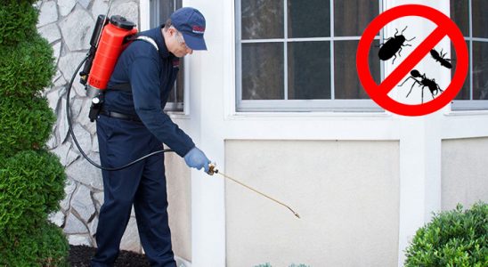Sincan Tahtakurusu İlaçlama böcek ilaçlama ve haşere kontrolü — ilaclama-tr.com